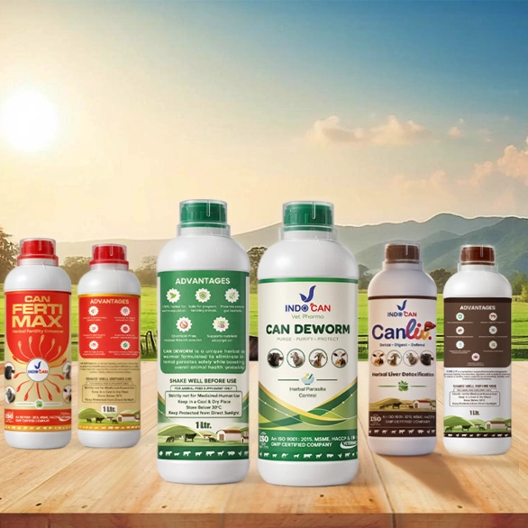 Why IndoCan Store